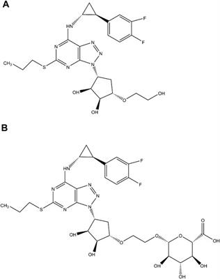 Contributions of UDP-Glucuronosyltransferases to Human Hepatic and Intestinal Metabolism of Ticagrelor and Inhibition of UGTs and Cytochrome P450 Enzymes by Ticagrelor and its Glucuronidated Metabolite